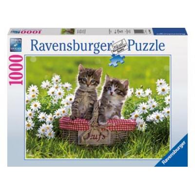 Ravensburger - Picnic in the Meadow Puzzle 1000 pieces
