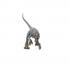 Schleich 14576 - Herrerasaurus